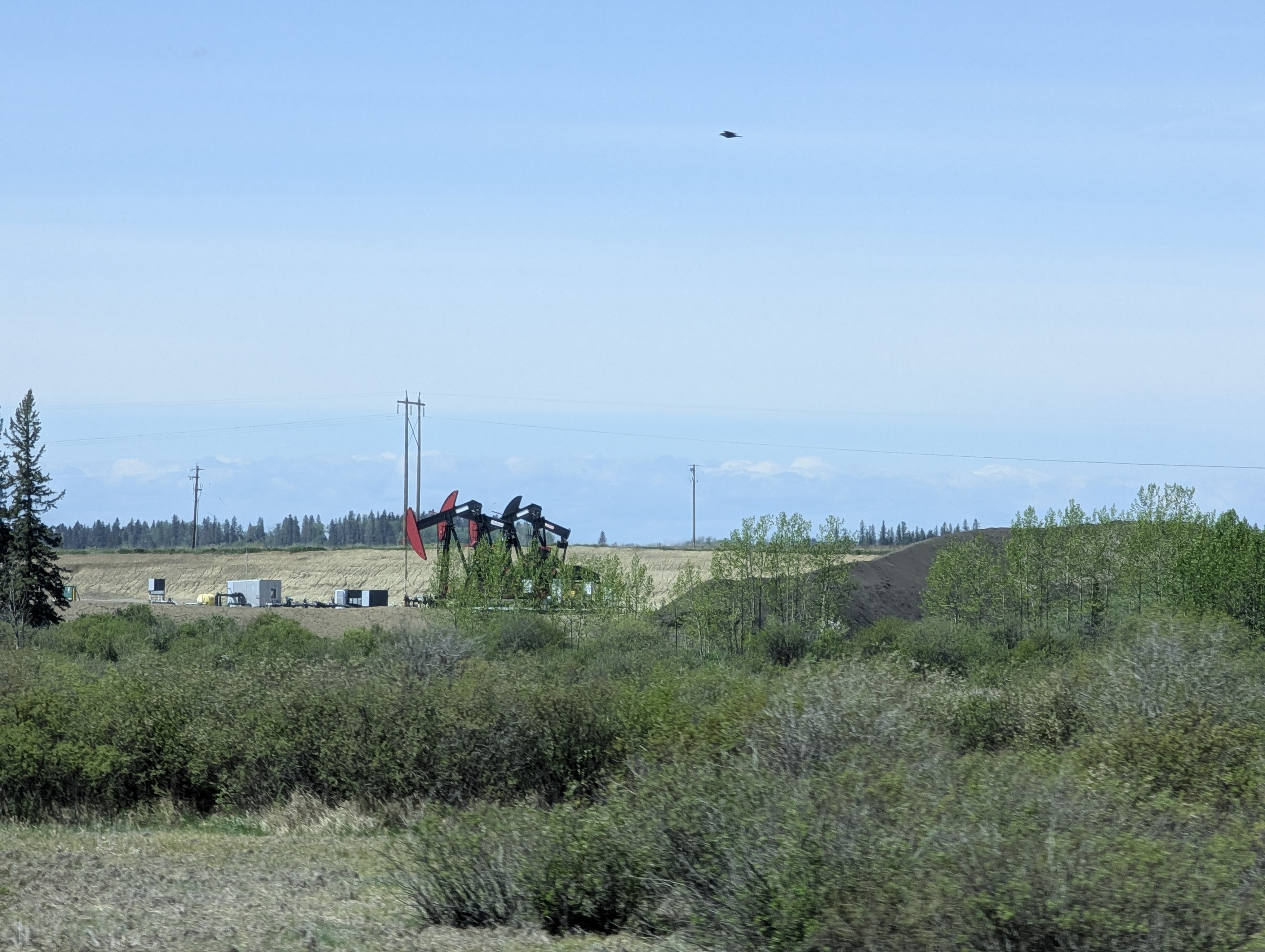 Birthday Trip to Canada,Alberta